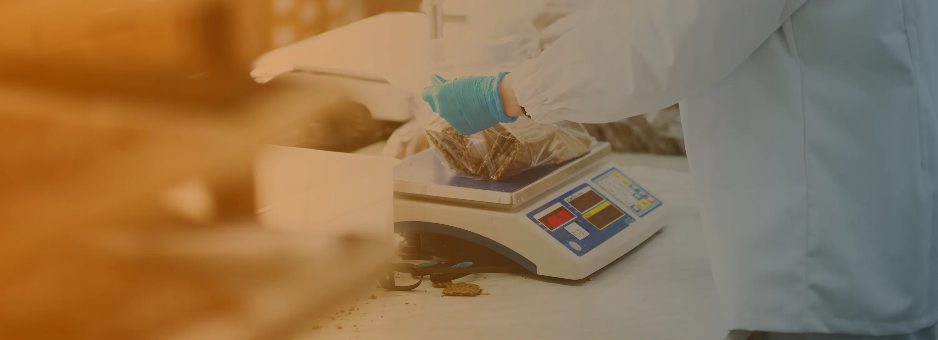 vechta-waagen-industriewaagen-komponenten-kategorie-feinwaagen